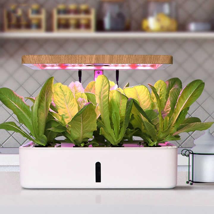 Indoor Hydroponic Growing System with LED Light, Wooden Top Cover, Touch Control, White Base