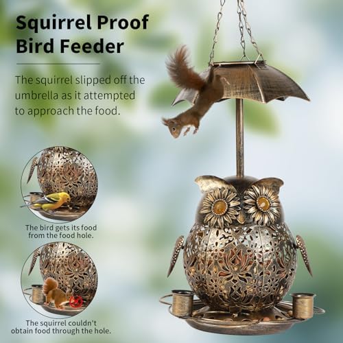 Bird Feeder for Outdoors