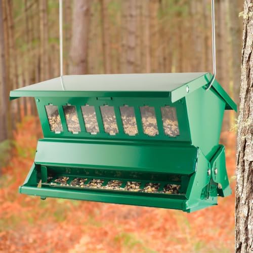 Absolute III Squirrel-Resistant Feeder