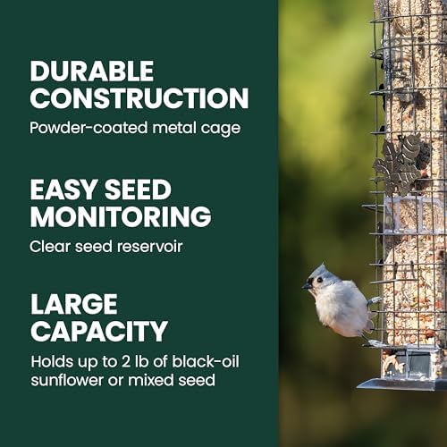 Perky-Pet Squirrel-Be-Gone Bird Feeder, 2 lb Seed Capacity