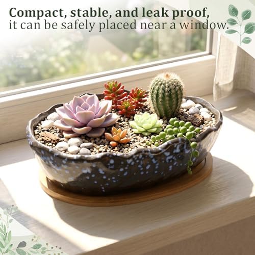 10 Inch Oval Ceramic Shallow Succulent Planter with Tray, Starry Blue