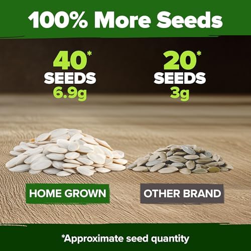 HOME GROWN Pumpkin Mix Seeds, 5 Variety, 40+ Seeds, Cucurbita Pepo