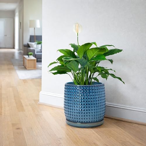 D'vine Dev Beaded Ceramic Pot with Saucer, 8 in, Ocean Teal, 27-C-Q-8