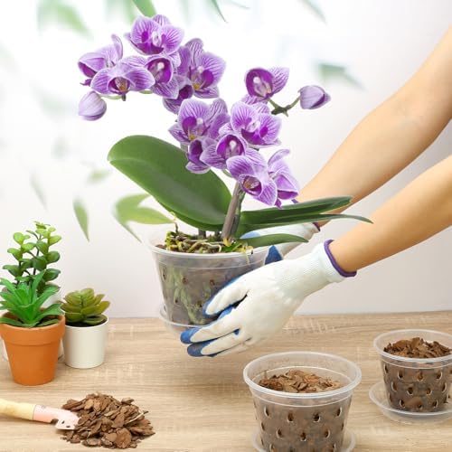 Orchid Pot, 8 Pack 5 Inch Clear Orchid Pots with Holes and Saucers