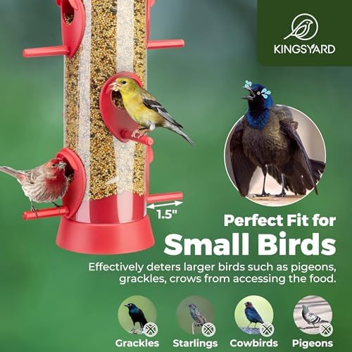 Kingsyard Tube Bird Feeder for Outdoors Hanging