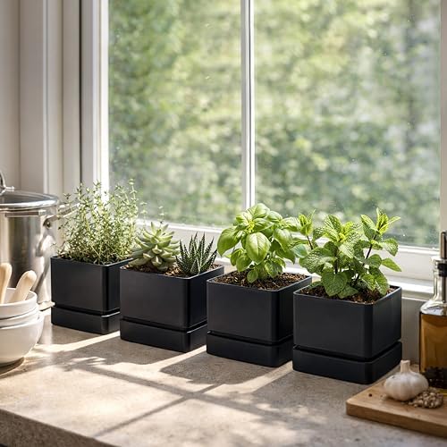 D'vine Dev 4-Pack Plastic Herb Planter Pots, 6 in, Black, 76-Y-B4-2