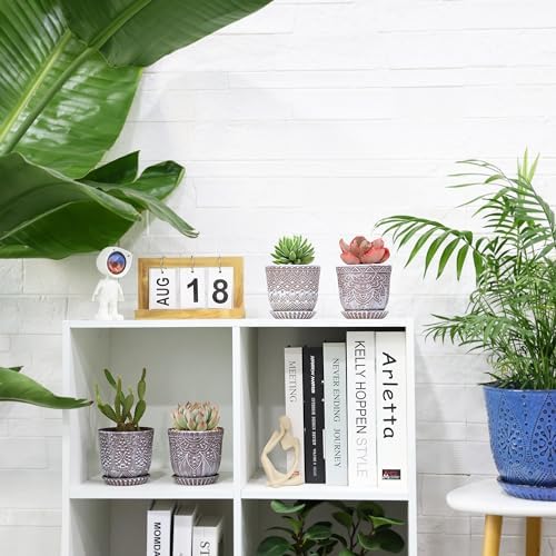Gepege Ceramic Succulent Pots, 4 Inch Small Plant Pots with Drainage