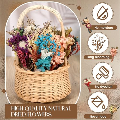 Layhit 12 Pcs Mini Dried Flower Bouquet Boho for Wedding,Colorful