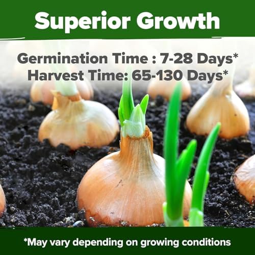 HOME GROWN 8 Onion Variety Mix 1600+ Heirloom Non-GMO Seeds for Planting, High Germination, Red, Yellow, White, Sweet Vidalia & Spanish Bulb Onions, Green Scallions,Indoor Outdoor Garden (Allium cepa)