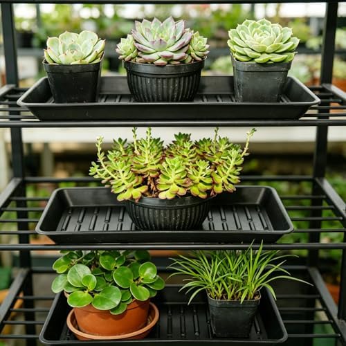 6 Pack Plastic Plant Trays Rectangular 14 Inch, Indoor Outdoor Plant Saucers with Drip Protection, Windowsill Planter Tray, 7 x 14.5 Inches, Black