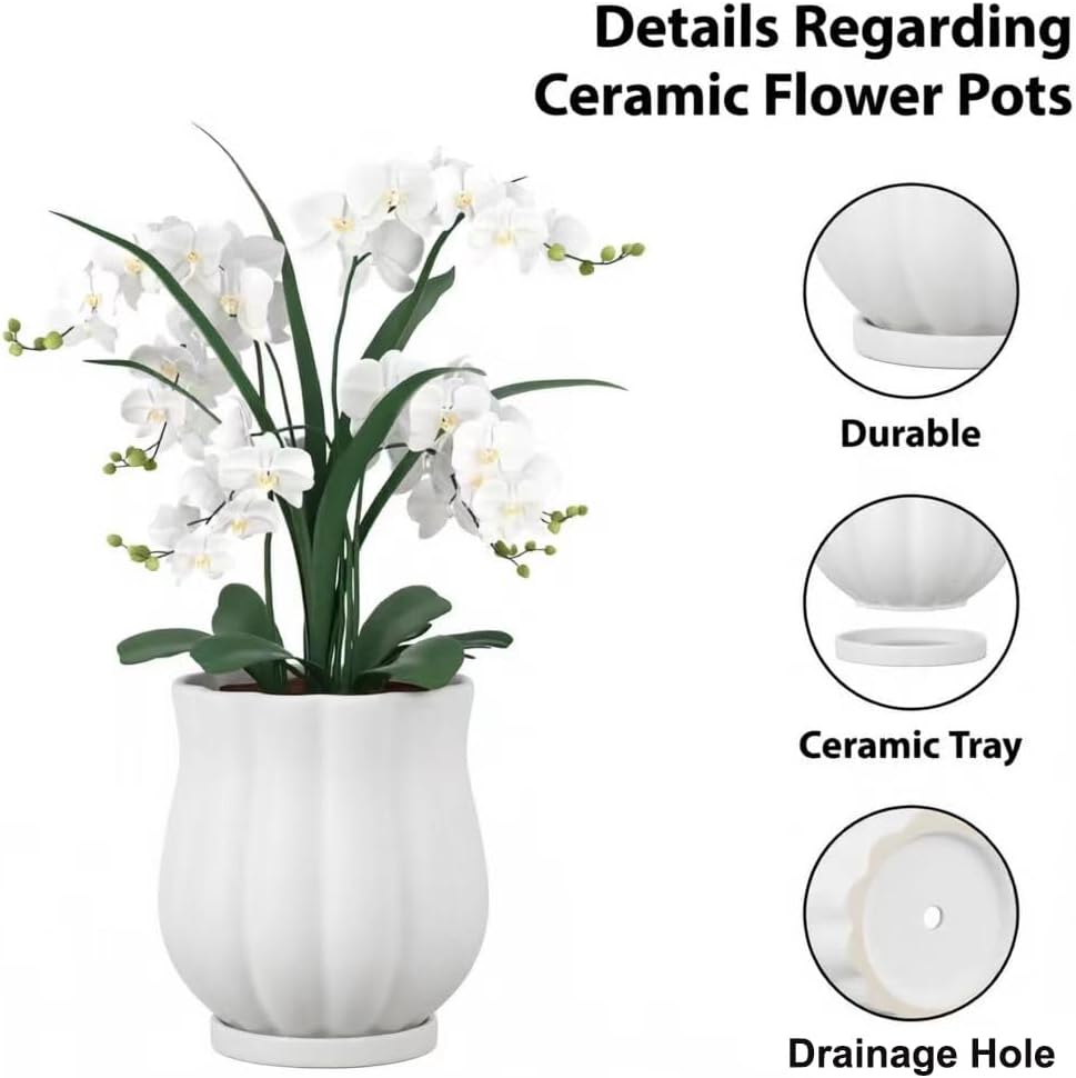 5.8" Matte White Ceramic Plant Pot with Saucer | 5.8 x 5.8 x 6.6 Inches | With Drainage Hole | Suitable For Indoor and