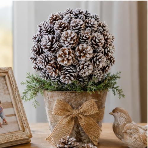 Bulk Lot White Washed Real Pine Cones – Approx. 1500 Assorted Natural Pinecones in 2 lb Bag – Rustic Fall Decor, Christmas Bowl Fillers, DIY Crafts, Wreath & Table Decorations
