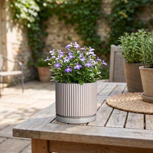 Ceramic Planter, 4 Inch Plant Pots, Round Pots for Plants, Grey