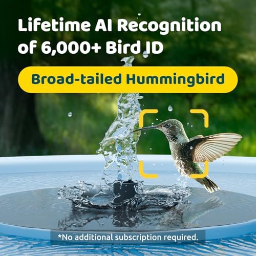 Birdfy Smart Bird Bath with Camera, Solar Powered, Dual-Lens 2K AI Camera