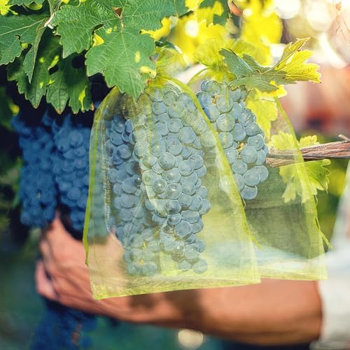 50 Pcs Fruit Protection Bags, 8×12 in Mesh Cover Nets for Tree, Green