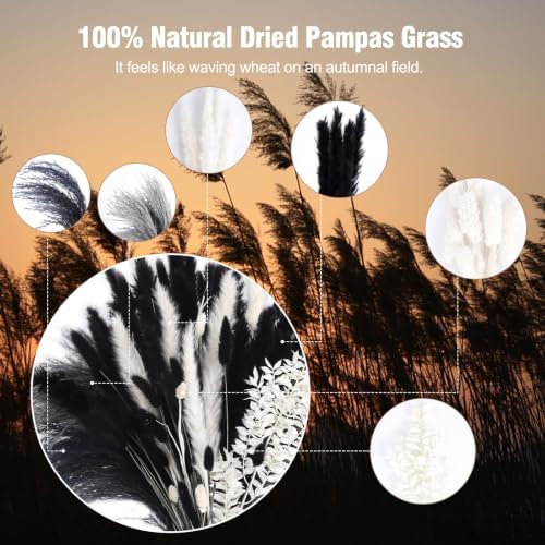 N&T NETING Black Dried Pampas Grass Boho Set for Crafts Centerpiece, 102Pcs