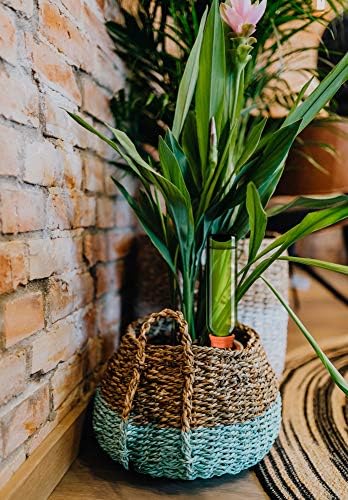 B SEPOR Ceramic Plant Waterer Set of 6 Pack Terracotta Self Watering Spikes,Wine Bottle Plant Watering Devices for Vacation (6Pack)