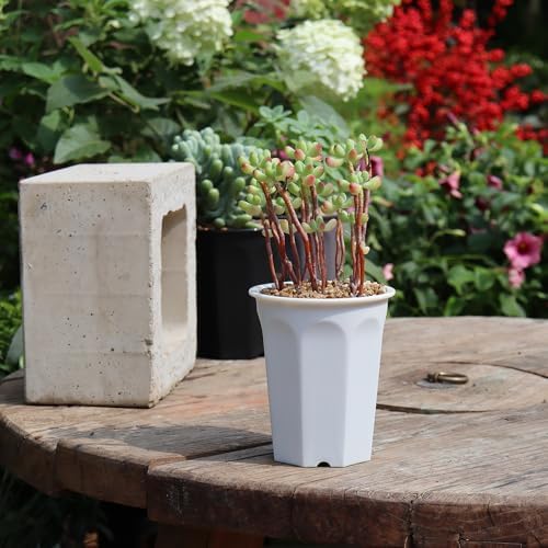 14 Pack 4.40 Inch White Plastic Deep Nursery and Seedling Pots, Round Planter Container for Transplanting, Cutting, Succulent