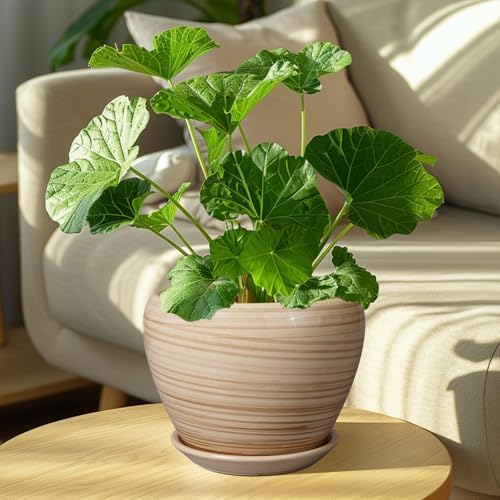 Ceramicfor Planter Pot 8 Inch, Ceramic Pot for Plants, Yellow