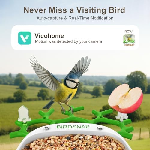 Smart Bird Feeder with Camera Solar Powered 2K HD Live Video with 32GB Card