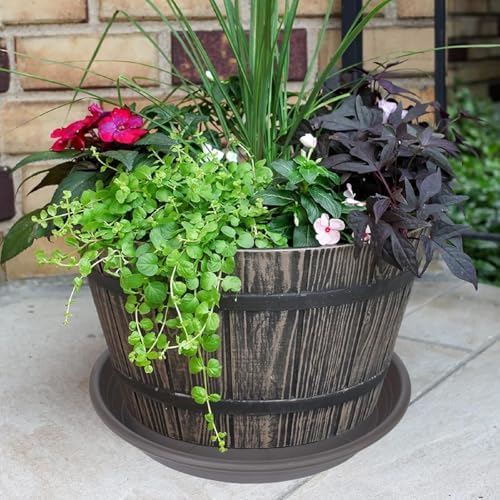 6 Pack of 6 inch Plant Saucer, Large Plant Tray, Heavy Sturdy Plant Drainage Tray for Indoors, Bird Bath Bowls, Sturdy Plastic Pot Tray for Planter (Brown)
