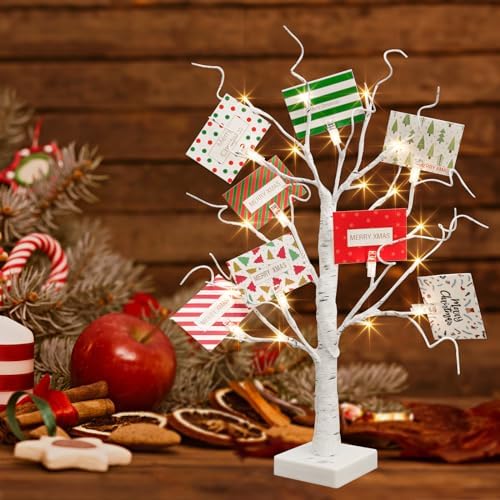 EAMBRITE Christmas Tree with Gift Cards, Money Tree Gift Holder 2 FT 24 LED
