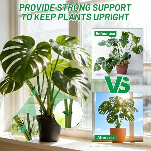 10 Plant Support Stakes for Indoor Plants with Clips & Plant Tie