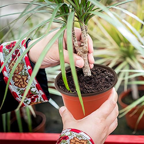 Augshy 150 Pcs 4Inches Plastic Plants Nursery Pot, Seed Starting Pots