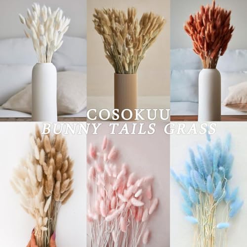 Bunny Tails Dried Flowers Boho Decor Pampass Grass 100pcs Floral Stems Decoration Plants 17 Inch (Teal Blue)