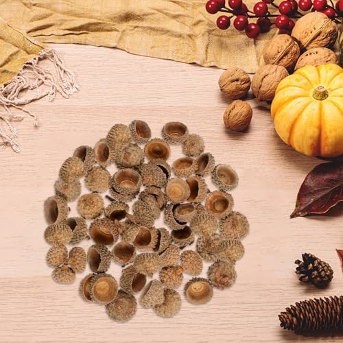 Ciieeo 100 Pcs Natural Acorn Caps - Light Brown Dried Botanical Vase Fillers for Home Decor | Rustic Plant Material for Autumn Wedding Thanksgiving and Christmas Ornaments