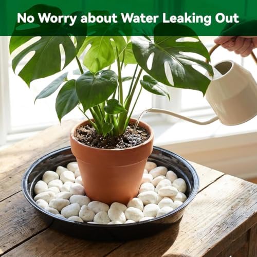 TRUEDAYS 20 Pack 8 Inch Plant Saucers Black Plant Saucers Flower Pot Plastic Drip Trays Excellent for Indoor & Outdoor Plants