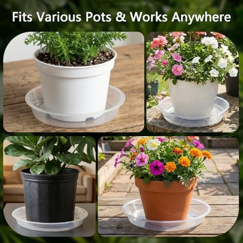 6Pack Plant Saucer, 3 5 7 9 11 13 15 17 19 21 in Plastic Plant Tray
