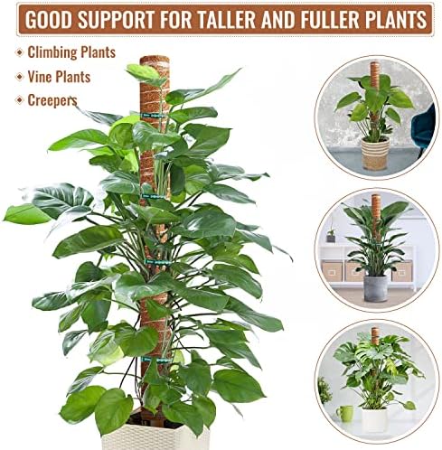 Coir Totem Pole for Climbing Plants, 6 Pcs 12'' Coir Moss Totem Stick