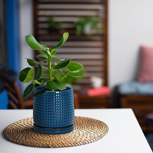 D'vine Dev Beaded Ceramic Pot with Saucer, 4 in, Midnight Blue, 27-C-Z-3