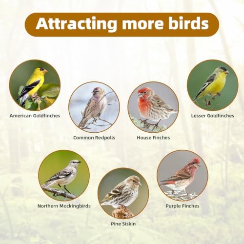 Nyjer/Thistle Seeds Wild Bird Feeder,Metal Material,Easy to Clean