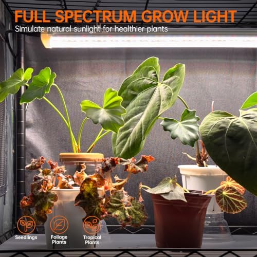 Bstrip 4-Tier Indoor Greenhouse with Grow Light, 29.5x13.8x70.9in