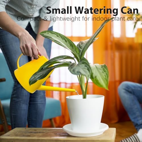 60 oz Watering Can, Watering Can Indoor Plants, Long Spout Small Water Can