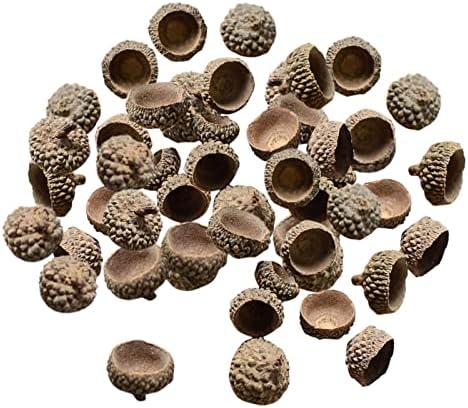 SM SunniMix 100x Natural Acorns Real Rustic Acorns Caps Decorative Vase Fillers Home DIY Thanksgiving Christmas Kitchen Autumn Table Scatter Photo Props Decors - Natural Acorn Caps