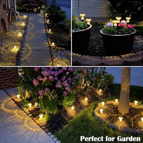 Priddop 8 Pack Solar Garden Lights Outdoor Waterproof 3000K Warm White LED