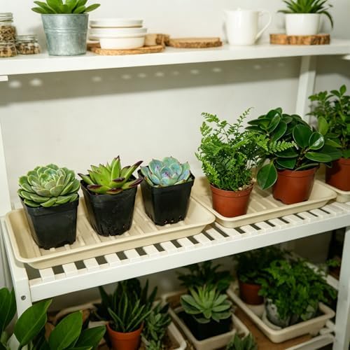 6 Pack Plastic Plant Saucer Rectangular 6 x 11 Inch, Indoor Outdoor Drip Tray for Flower Pot, Windowsill, Beige