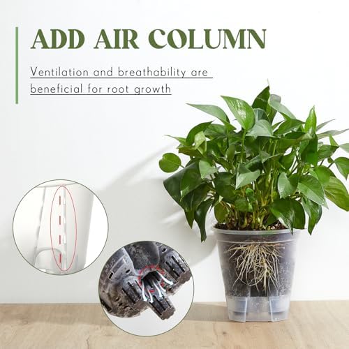 Wonderjune Self Watering Planter, 4.72'', Clear, 12 Pcs