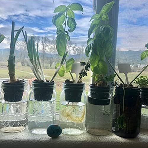 Plastic Net Cups Pots for 3 Inch Holes for Hydroponics, 15 Pack