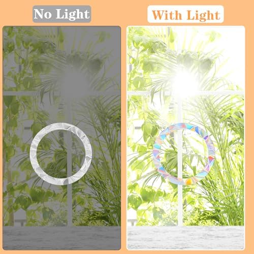 48 Pcs Anti Collision Window Decals for Bird Strikes 3 Sheets of Static Window Clings Circle and Ring Style Stop Birds Flying Into Windows Bird Strike Prevention Glass Door Windows Stickers