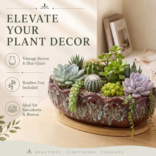 11 Inch Oval Ceramic Shallow Succulent Planter with Tray, Blue and Brown