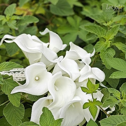Letjolt White Calla Lily Artificial Flowers 20 Pieces Bouquet