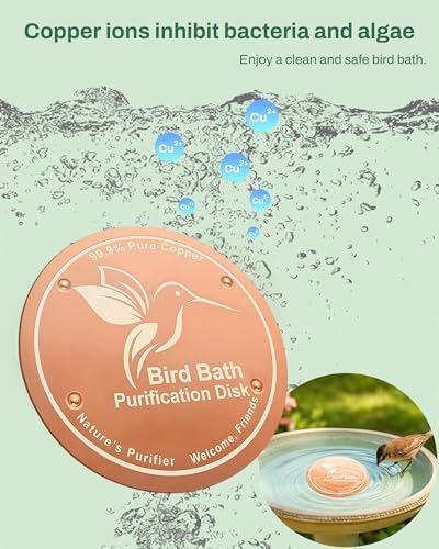 OICEME Bird Bath Purification Disk Pure Copper Outside Birdbath Outdoor Hummingbird Butterfly Water Fountain Solar Power Window Feeder Stand Nectar Food Pole House Hanging Birdhouse Gifts