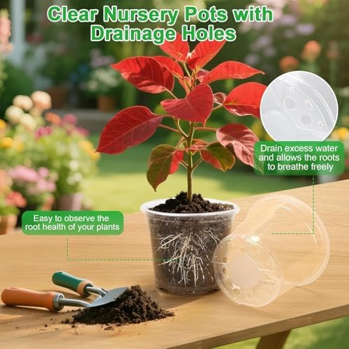 8 Inch Clear Nursery Pots with Drainage Holes, 10 Pack Large Plastic Pots for Plants, Seedling Starter Pot, Garden Plant Pots for Succulents Flowers Cactus