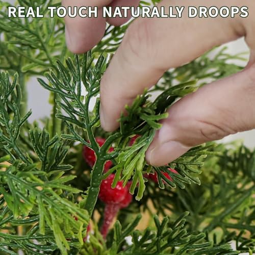 40PCS Christmas Artificial Pine Branches Frosted Berry Stems Fake Evergreen Norfolk Cypress Sprigs Holly Berries Winter Greenery Picks for Vase Filler DIY Craft Garland Home Decor (Green & Red)