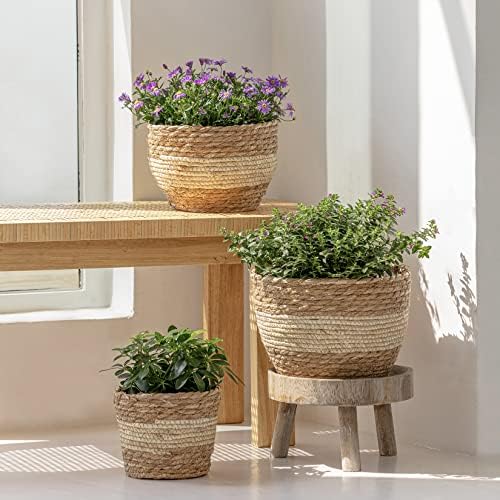LA JOLIE MUSE Seagrass Basket Planters for Indoor Plants, Flower Pot 3 Pack