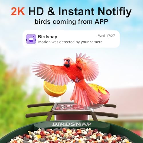 birdsnap® PAV Bird Feeder with Camera Solar Powered 2K Live Video 32GB Card